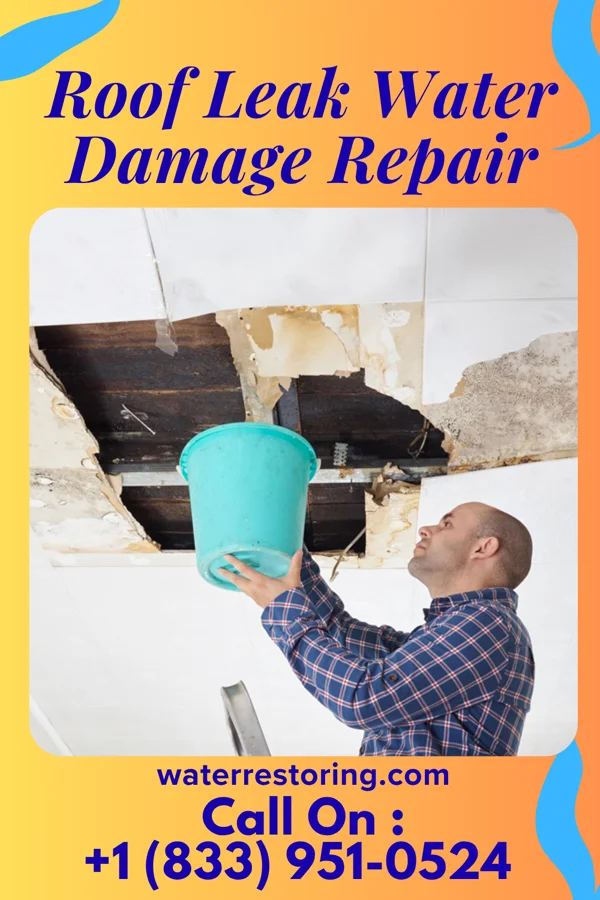 Roof Leak Water Damage Repair in Charleston, MS